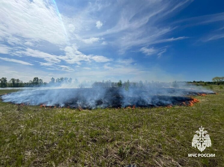 За сутки в Башкирии произошел 31 ландшафтный пожар