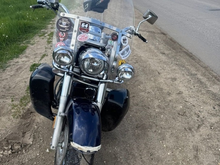 В Волгоградской области мотоциклист сбил собаку и попал в больницу