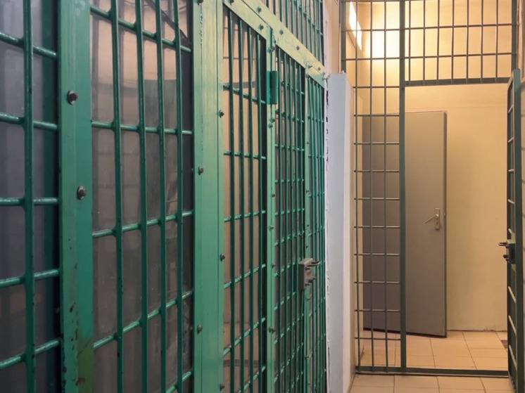 Жителя Подольска задержали за ограбление 12-летней давности