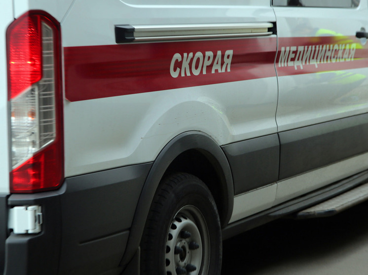 Более 30 раз за сутки огнеборцы Подмосковья выезжали на пожары
