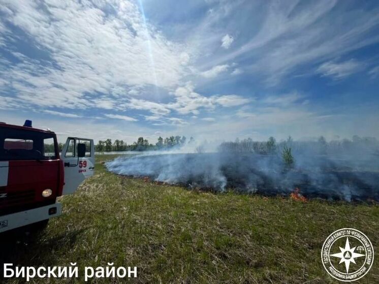 Три лесных пожара произошло в Башкирии