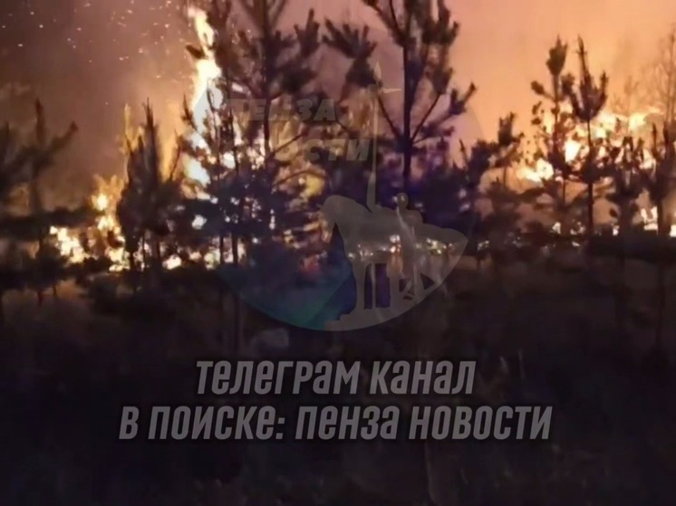 В селе Зеленодольское огонь на площади более 1000 кв.м. охватил свалку