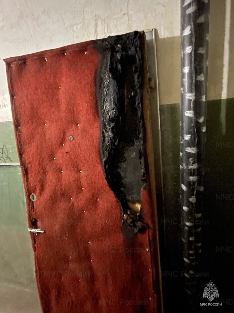 В Чувашии за сутки зафиксированы два пожара, один из них — возможный поджог