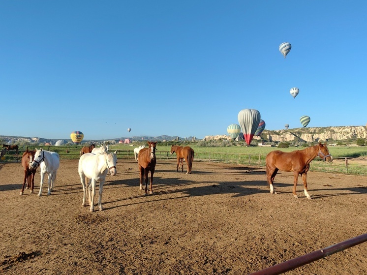Каково это бороздить воздушное пространство на летающем шаре, испытал на себе корреспондент МК в Карелии