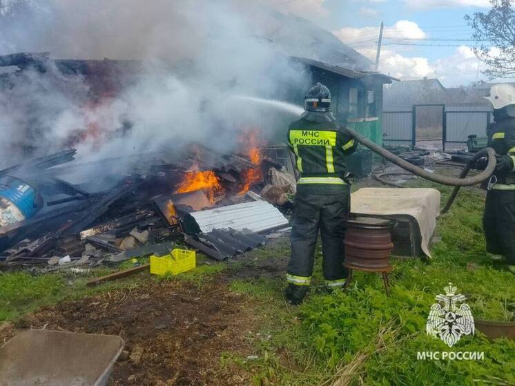 Хозяева остались без дачи после пожара в Шимском округе