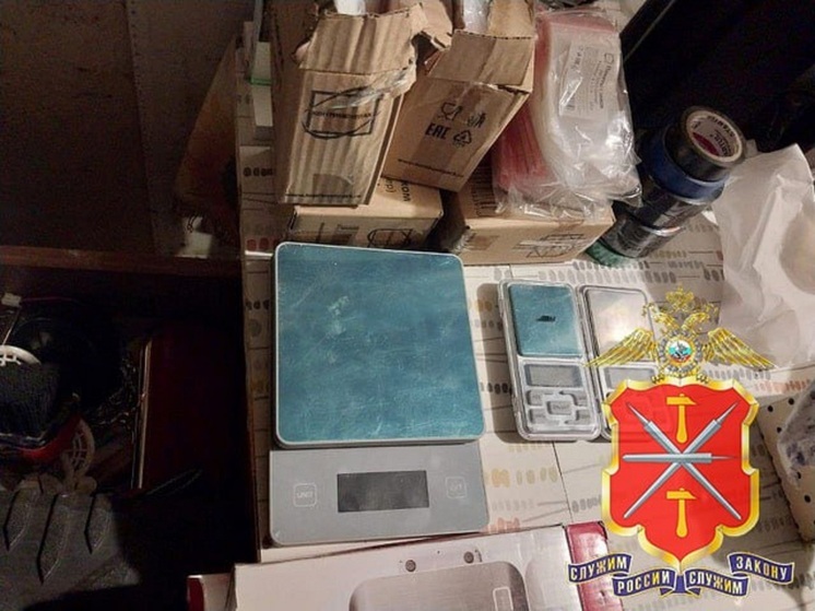 В Киреевске задержан туляк по подозрению в распространении “синтетики”