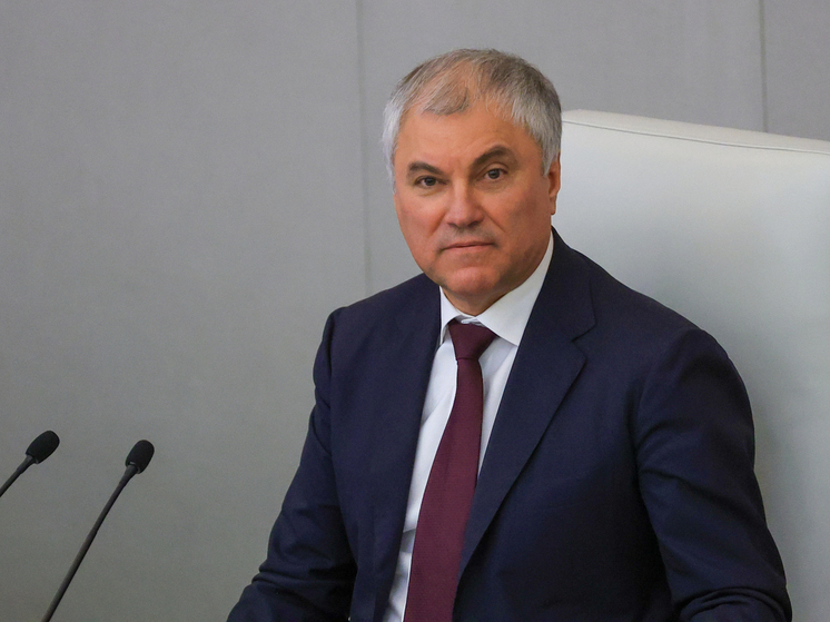 Володин: по новым правилам в школу после теста попали 27 детей мигрантов из 1762