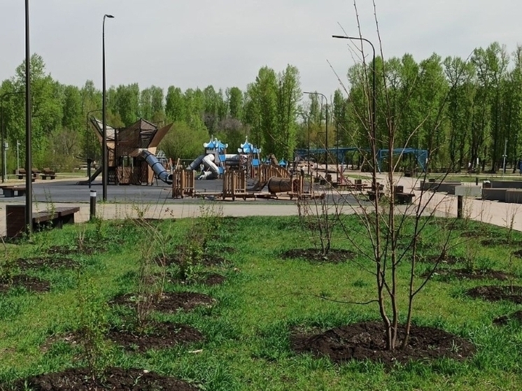 Парк «Комсомольский» проинспектировали депутаты думы Иркутска