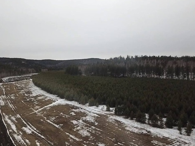В Бурятии с начала года Россельхознадзор выявил 12 тыс гектаров заброшенных  сельхозземель