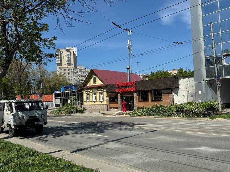 Жители Самары возмущены тем, что спиливают красивые деревья и оставляют сухостой