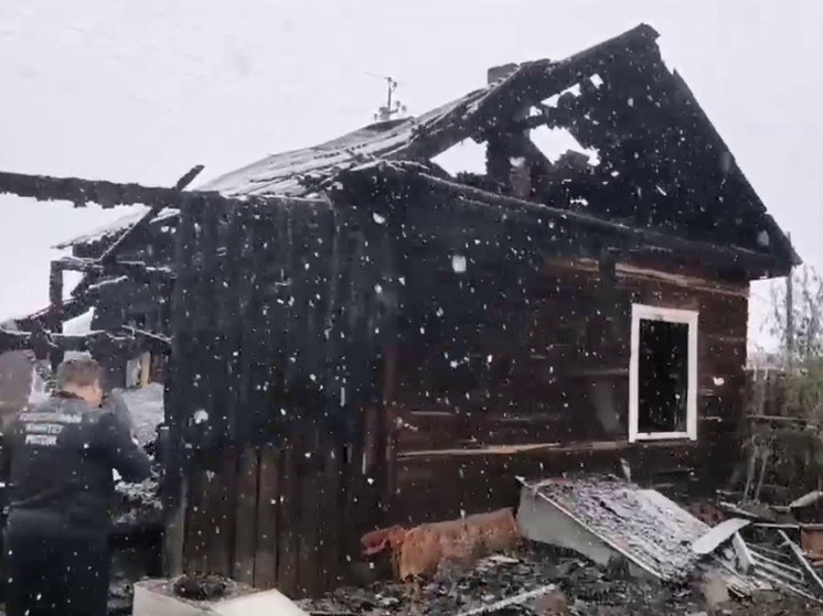 Следователи назвали версию причины смертельного пожара в селе Забайкалья