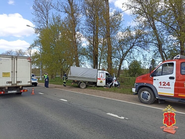 Мужчина погиб после столкновения автомобиля с деревом на трассе «Нарва»
