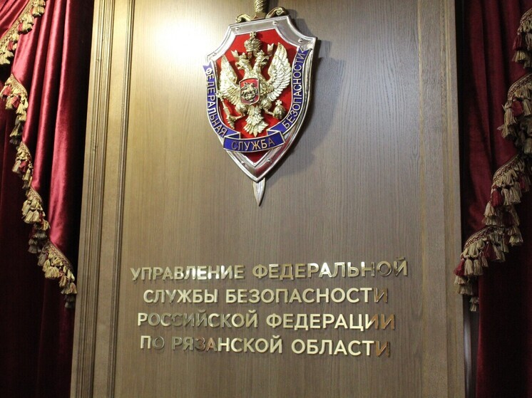 На жителя Рязани завели дело за публичные призывы к терроризму в соцсетях