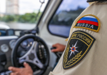 Перечень специальных средств, используемых сотрудниками Государственной инспекции по маломерным судам определило Министерство Российской Федерации по делам гражданской обороны, чрезвычайным ситуациям и ликвидации последствий стихийных бедствий