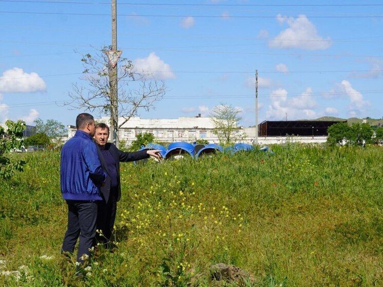 Гоцанюк поручил увеличить число рабочих для покоса травы в Керчи
