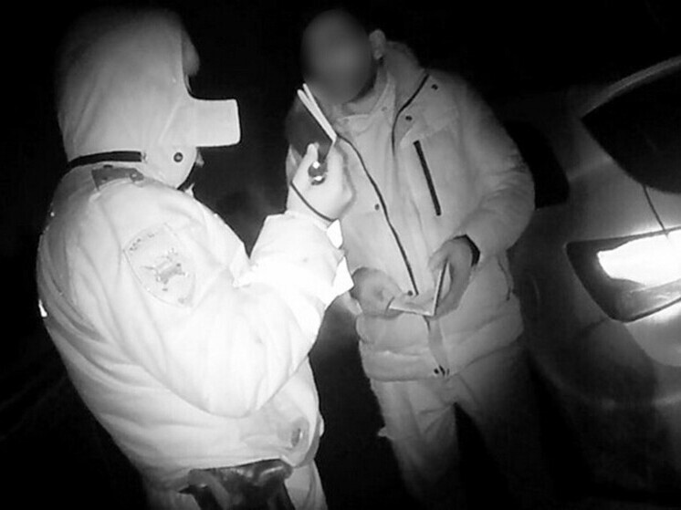 Брянские спецслужбы задержали причастного к незаконной миграции