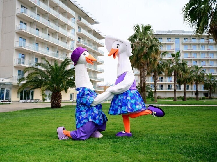 Сочинский отель взял под опеку гуся из Московского зоопарка