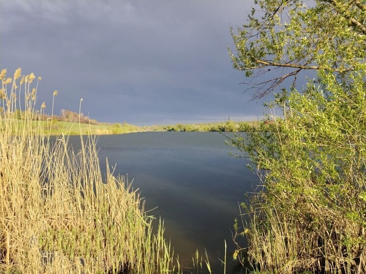 Теплая погода вернется в Белгородскую область в четверг