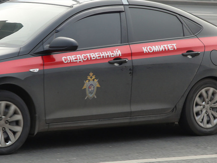 Бастрыкин запросил доклад по делу о нападении на волонтера