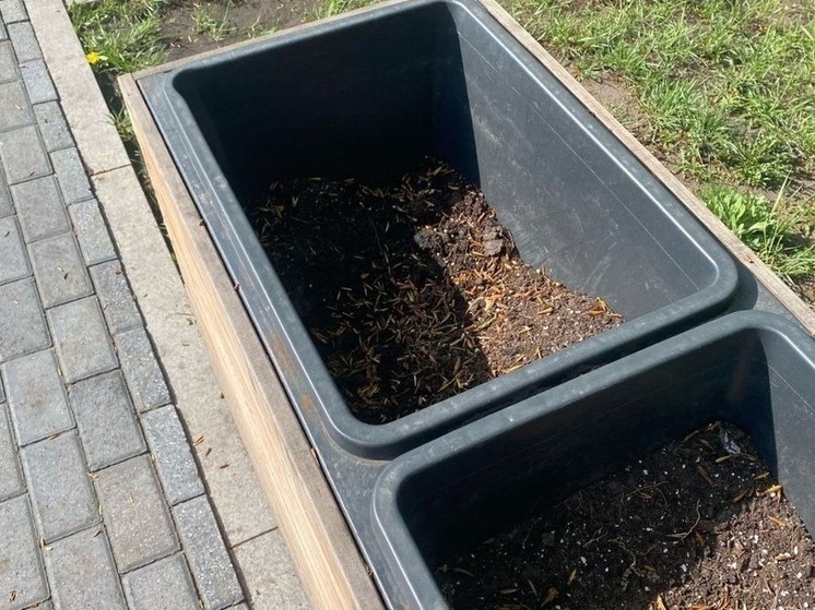 В Черногорском парке Абакана неизвестные украли землю почти из всех вазонов