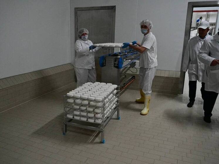 Глава Башкирии рассказал о производстве уникального мягкого сыра