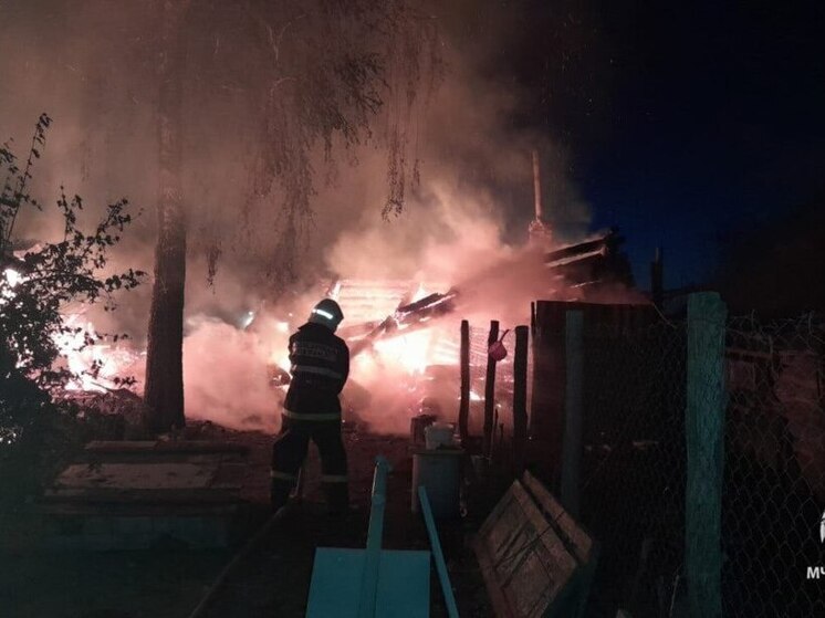При пожаре в брянском селе Чернецкая Коста погибли два человека