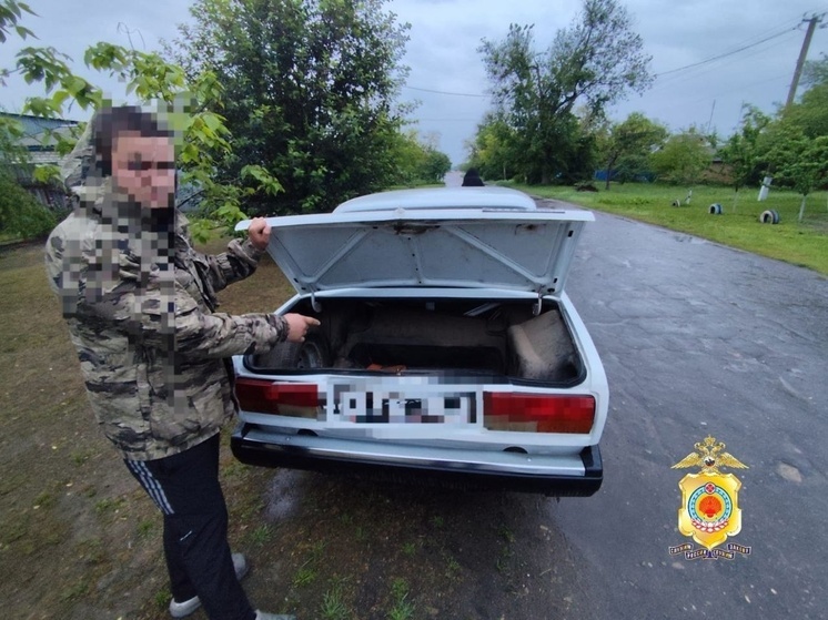 В Калмыкии полицейские раскрыли кражу скота
