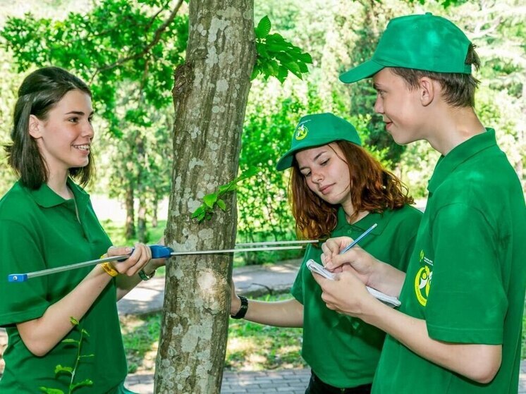 Иркутская область представит четыре работы в финале Всероссийского юниорского лесного конкурса "Подрост-2025"