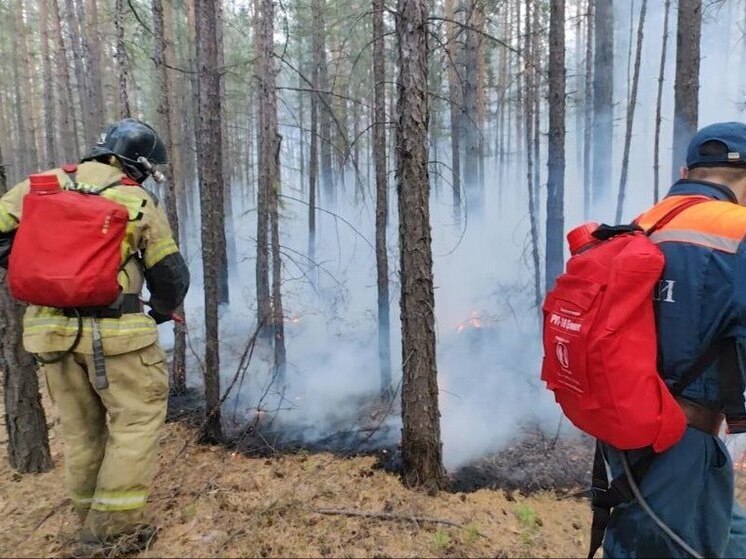 Виновник пожара в СНТ «Малиновка» под Читой под домашним арестом