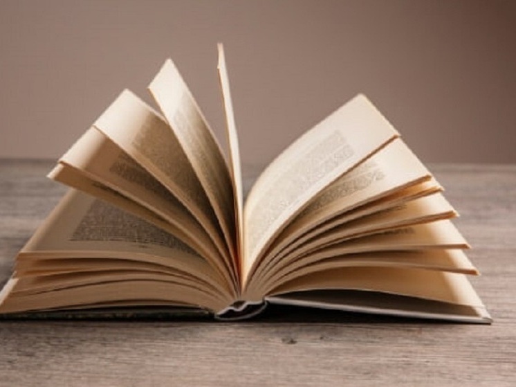 В центре Новосибирска проверили книжный магазин