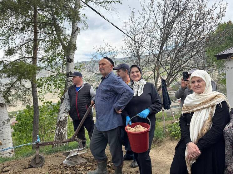 В Дагестане посадили белорусский картофель, подаренный Лукашенко