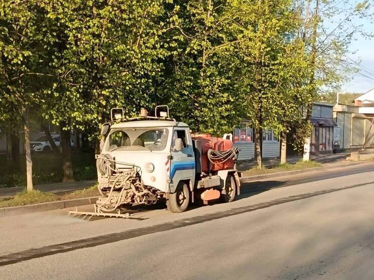 В Старой Руссе расчищают ливневые колодцы после долгой зимы