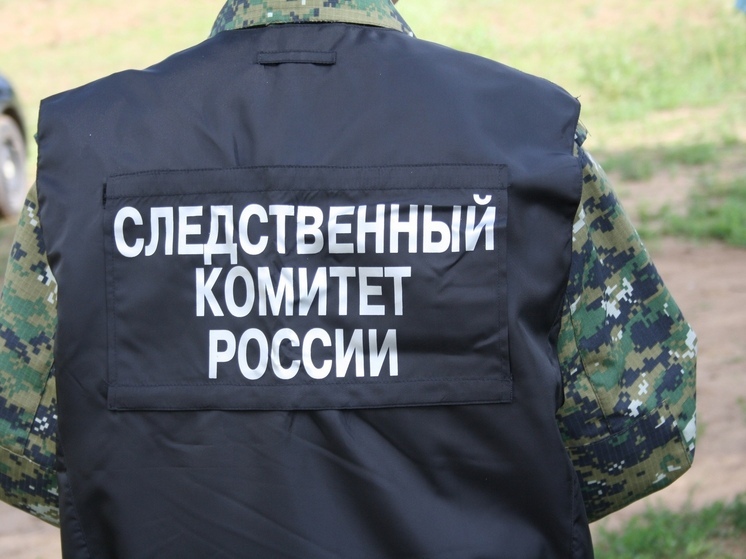 В Иванове мальчик получил в ПВЗ посылку с 9 кг наркотиков