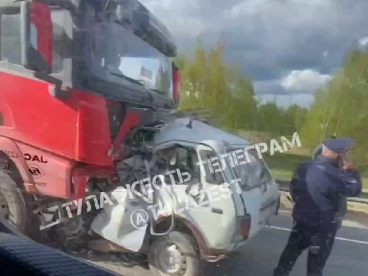 Под Тулой большегруз вылетел на «встречку» и смял «Ниву»