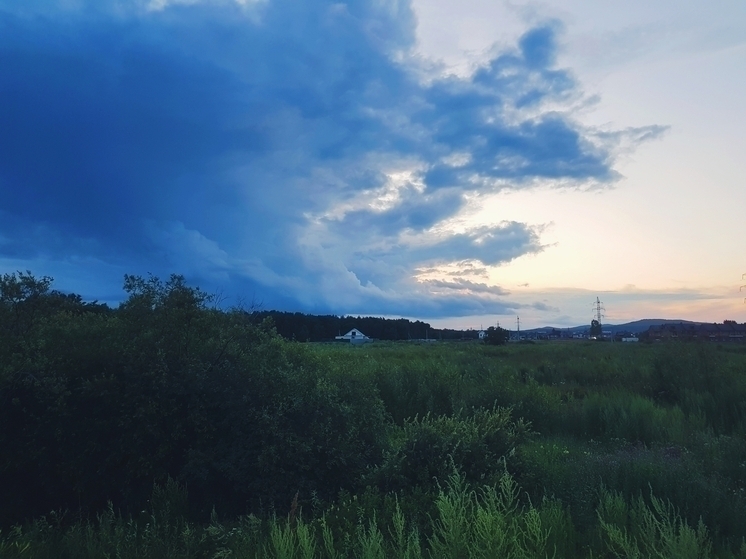 Доцент кафедры инфекционных болезней и фтизиопульмонологии КубГМУ рассказала, что делать при укусе клеща