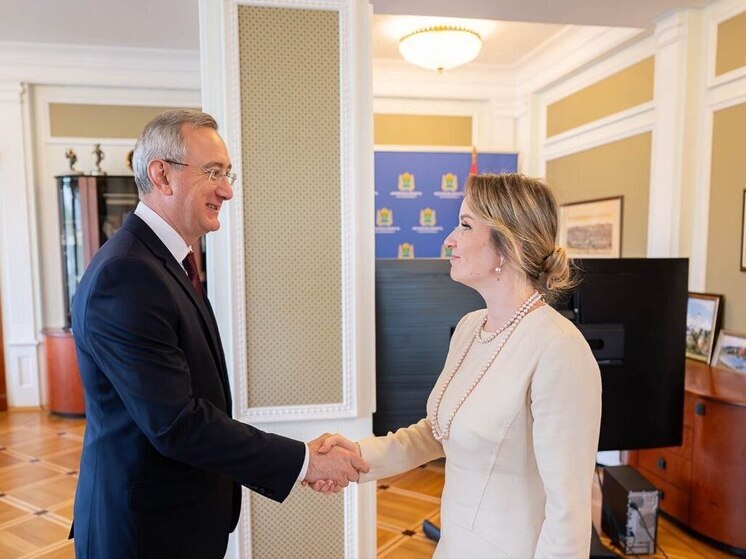 Владислав Шапша и детский омбудсмен страны обсудили поддержку семей