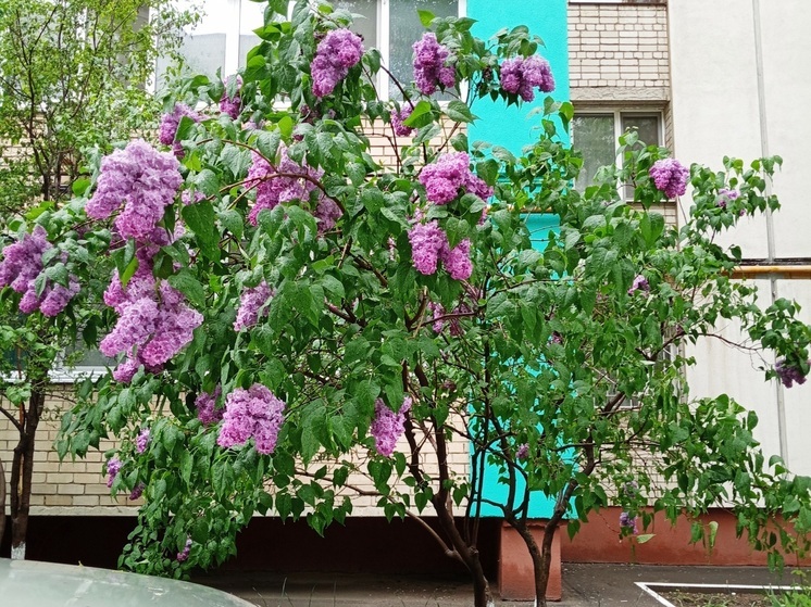 Сила магнитной бури 15 мая составит 3 балла: подходящий период для перевода любовных отношений на новый уровень