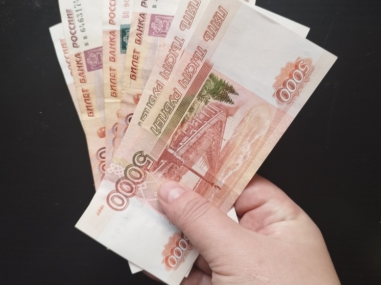 За продажу шапки с Чебурашкой мурманчанка заплатит штраф дороже в 30 раз