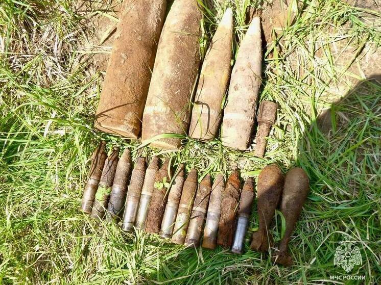 Больше 40 взрывоопасных предметов времен войны ликвидировали в Тверской области