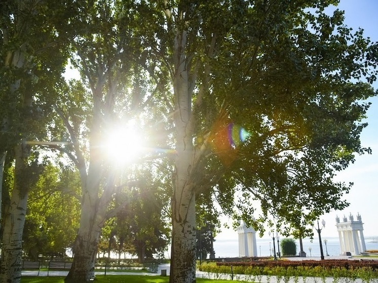 Жителей Волгоградской области ожидает настоящее майское тепло