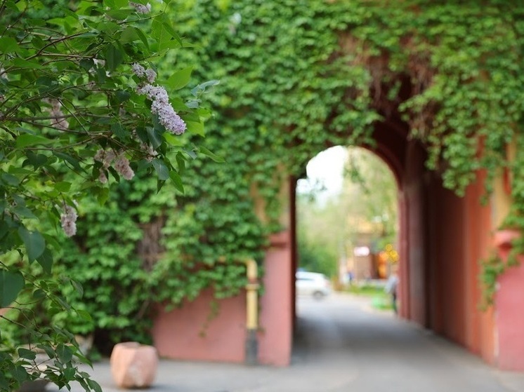 Народные приметы на 15 мая: чего нельзя делать в день Бориса и Глеба Сеятелей