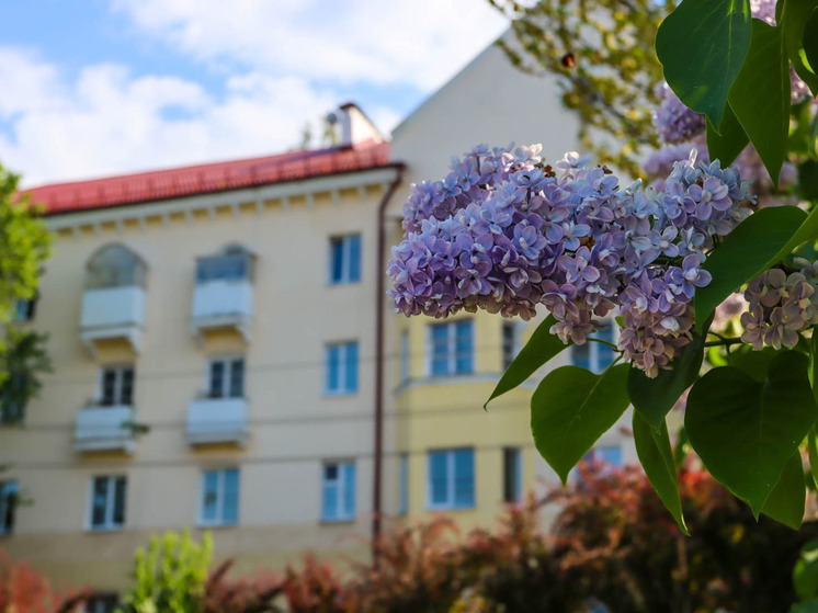 Смоленская область вновь включена в число регионов с максимально открытыми бюджетными данными