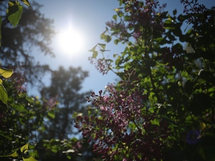 В Астраханской области 15 мая ожидается ветер и до +24 градусов