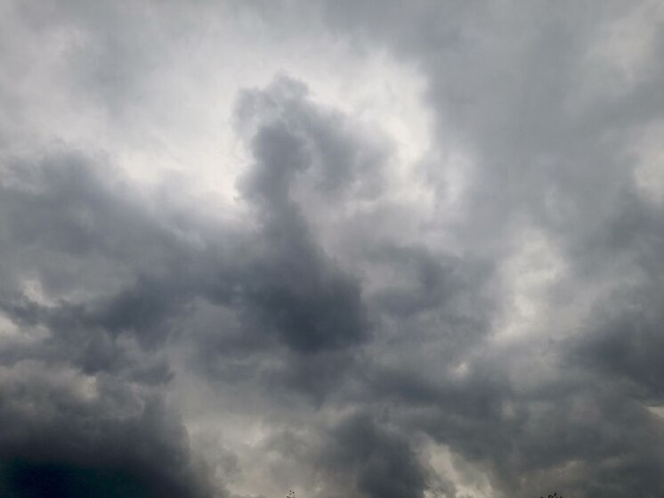 В Хабаровске 15 мая будет дождливым днем