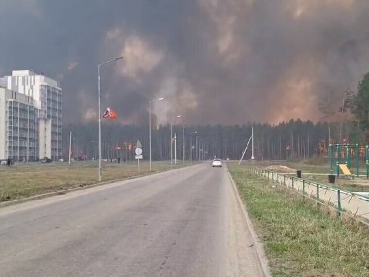 Губернатор Амурской области доложил президенту Путину о ситуации с пожарами