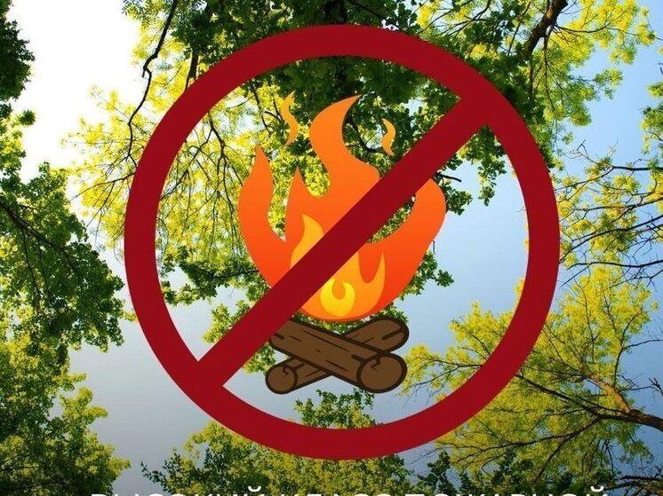 На юге центральных районов Приморья объявлен высокий класс пожарной опасности