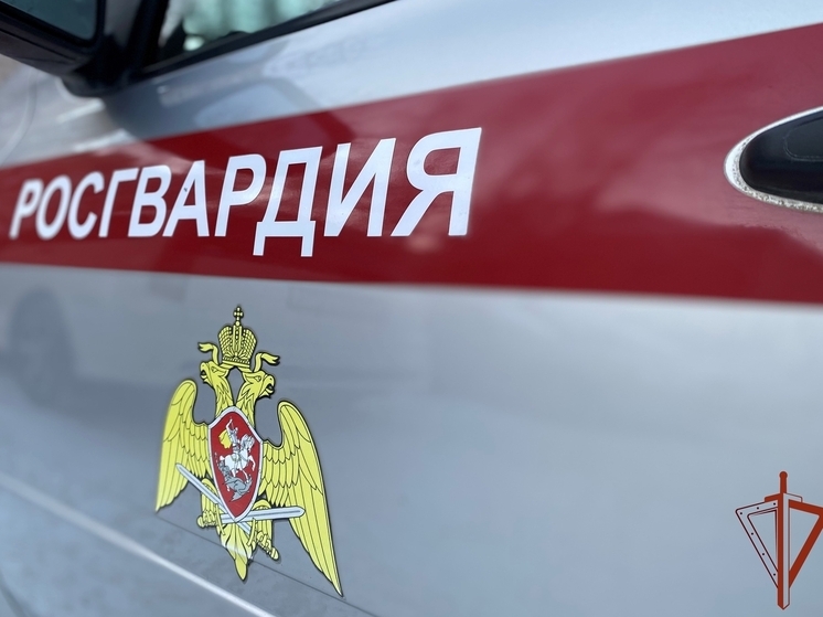 У томичей с начала года изъяли более 900 единиц оружия