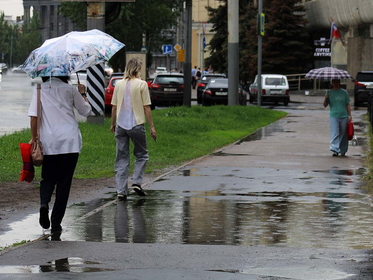 Омскую область накроют дожди, грозы и ветер: прогноз на 15 мая