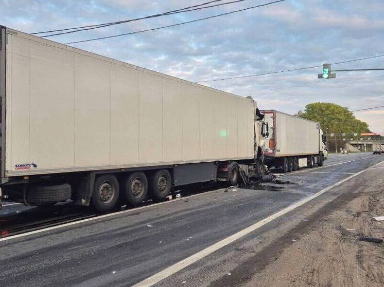 В Тверской области на М-10 две фуры столкнулись перед светофором