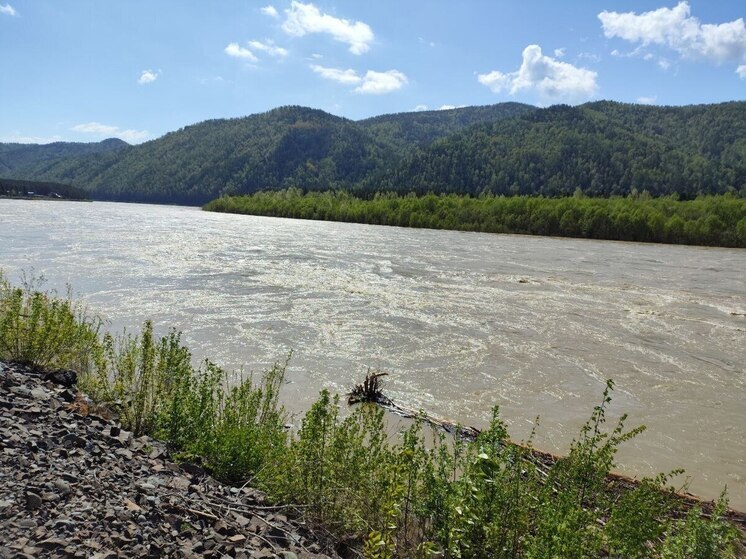 Воды Абакана топят Абазу: опасная отметка превышена почти на 30 см